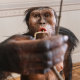 "Lucy's skeletal remains will be displayed in Europe for the first time ever," Prime Minister Petr Fiala told reporters as he announced the rare loan by Ethiopia's National Museum.